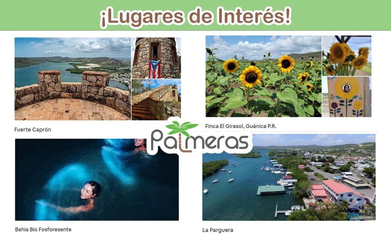 Palmeras Beach Apartments - Playa Santa Гуаника Экстерьер фото