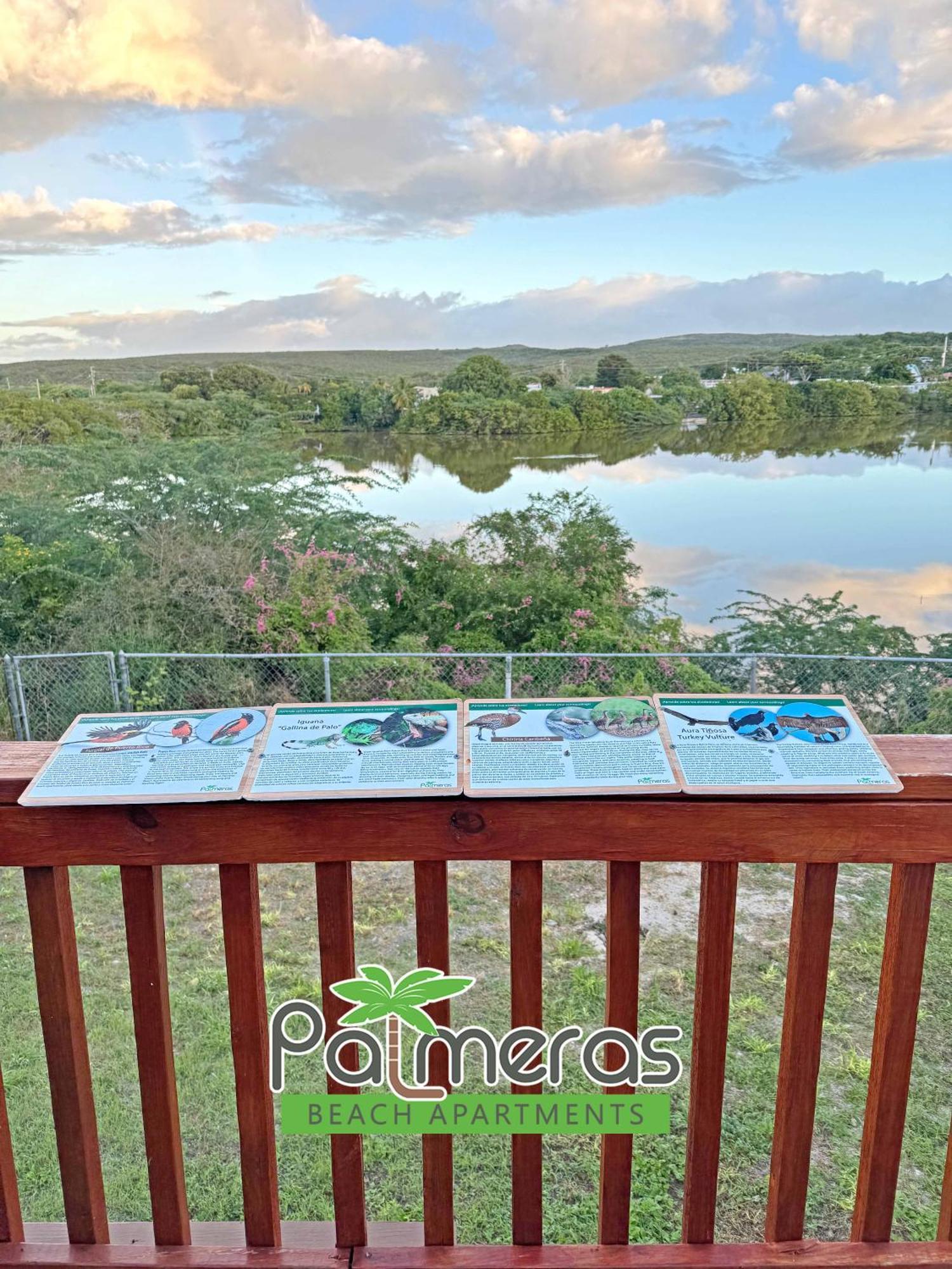 Palmeras Beach Apartments - Playa Santa Гуаника Номер фото